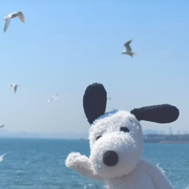 바다 스누피 (다빈 테스트)